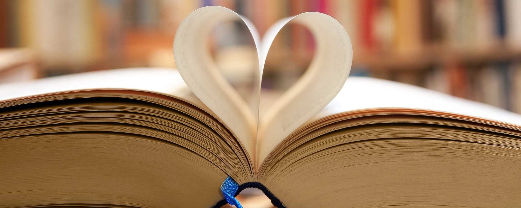 The Stories Between Two Languages